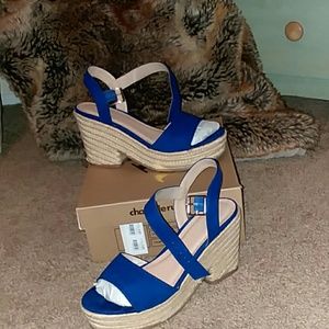 Vibrant Cobalt Wedge